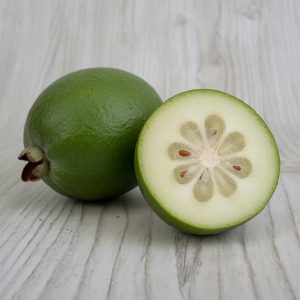 Feijoa